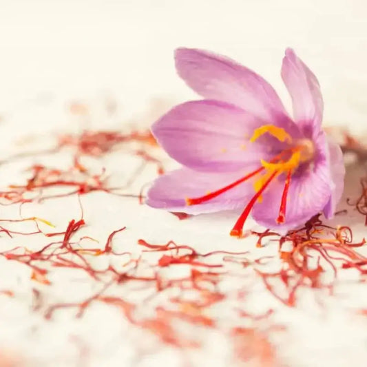 Crème Safran et Argan Le Secret Anti age d Amagor