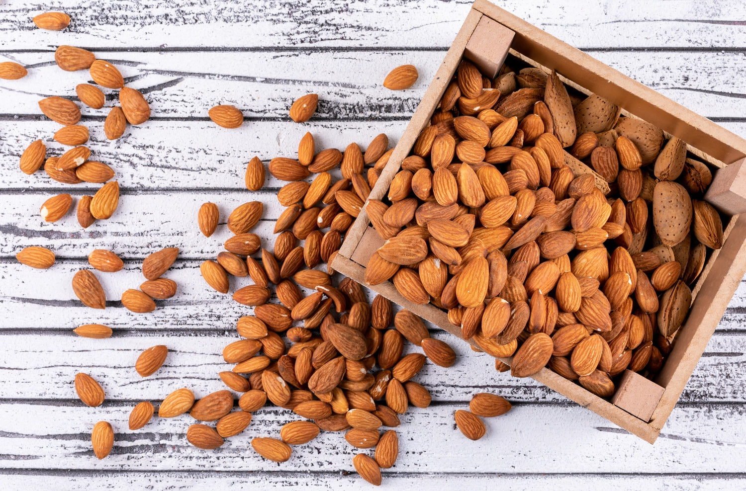 Torrefaction_amandes Amagor